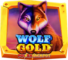 wolf-gold